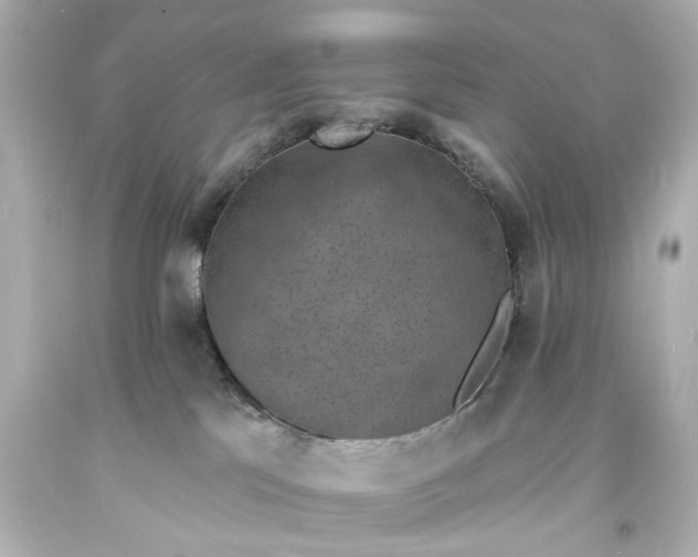 X0000094070041200711021520