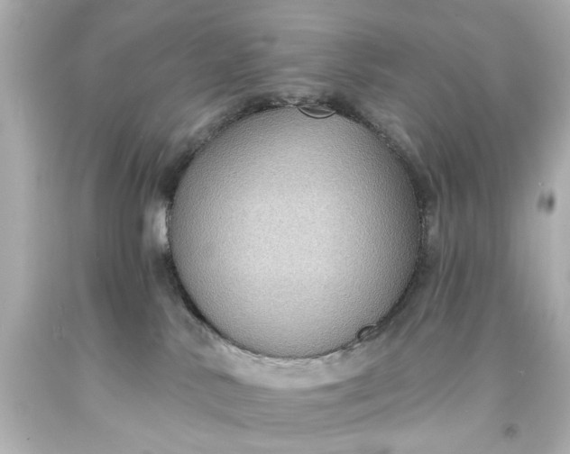 X0000094070042200711021520