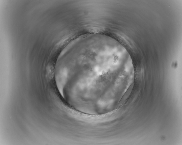X0000094070043200711021520