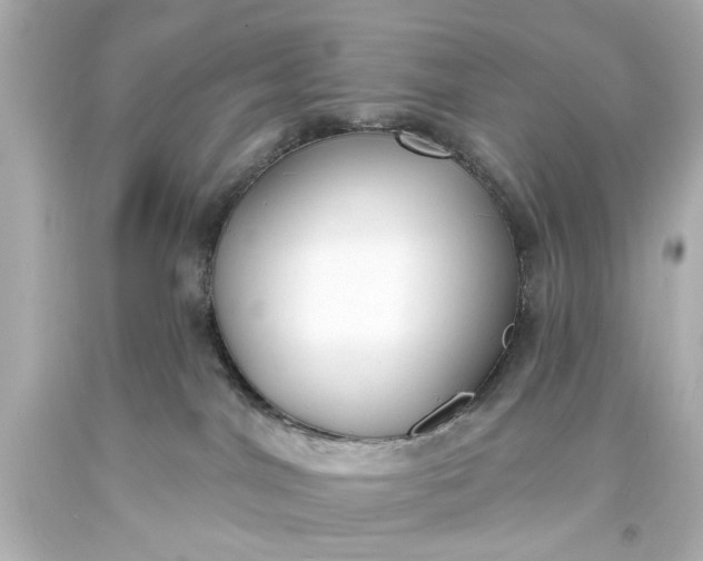 X0000094070044200711021520