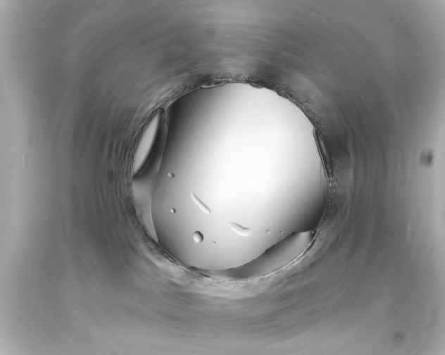 X0000094070045200711021520