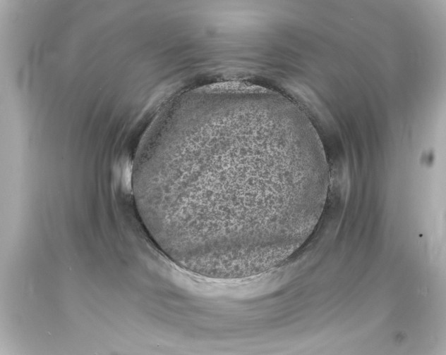 X0000094070046200711021520