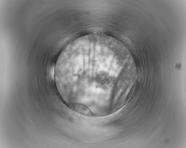 X0000094070047200711021520