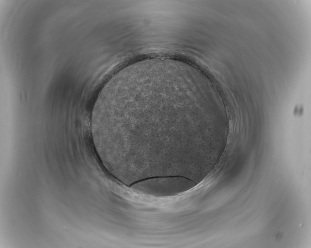 X0000094070048200711021520