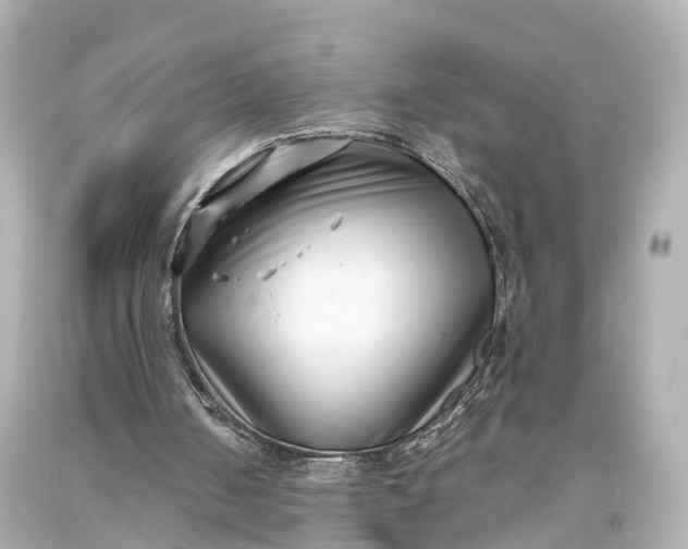X0000094070050200711021519