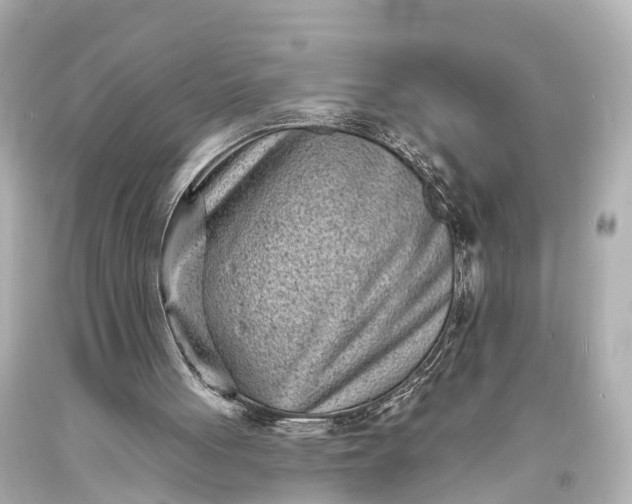 X0000094070051200711021519