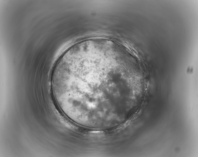 X0000094070053200711021519