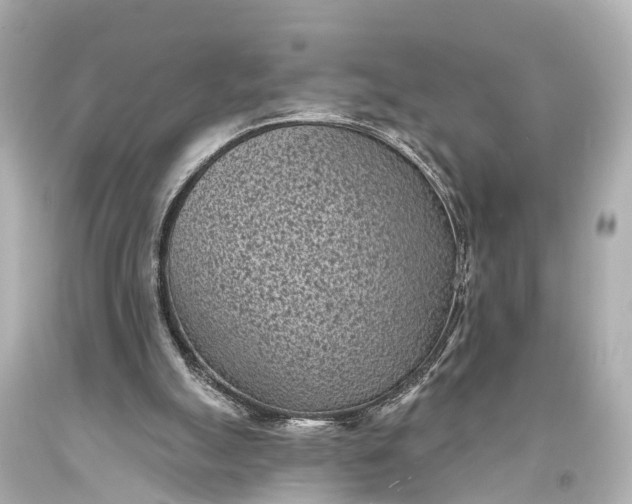 X0000094070055200711021519
