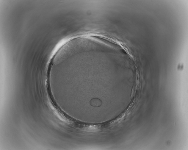 X0000094070056200711021519