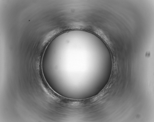 X0000094070058200711021519