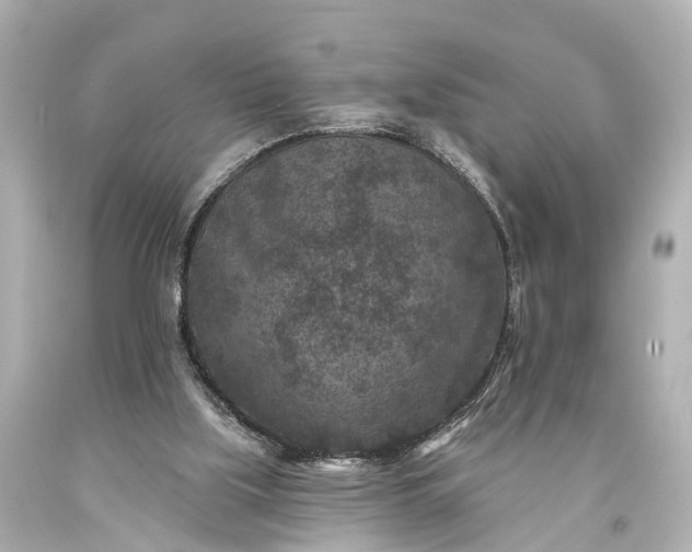 X0000094070059200711021519