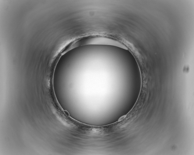 X0000094070060200711021519
