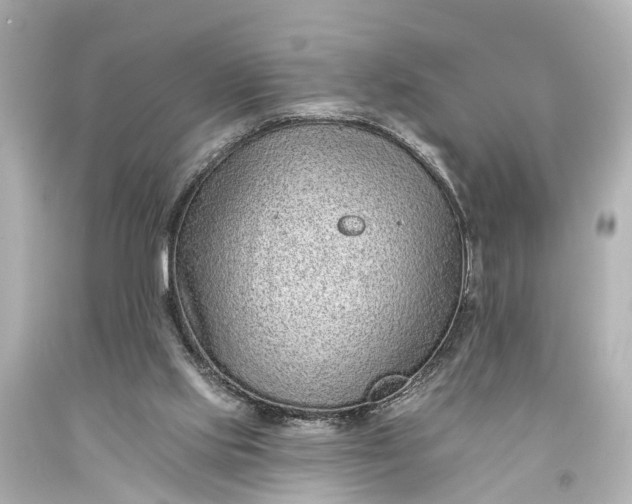 X0000094070061200711021519