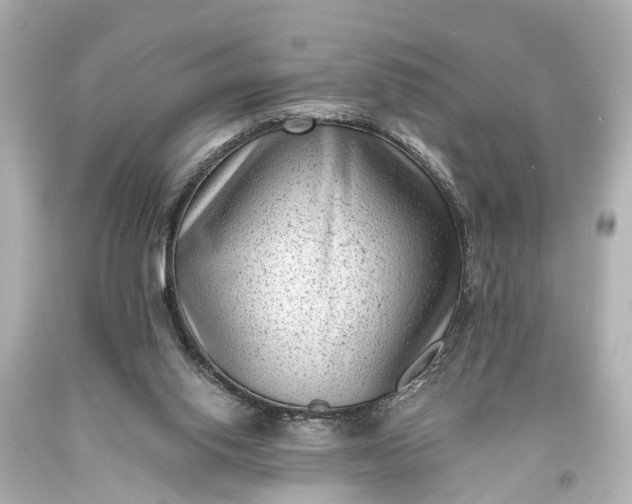 X0000094070062200711021519