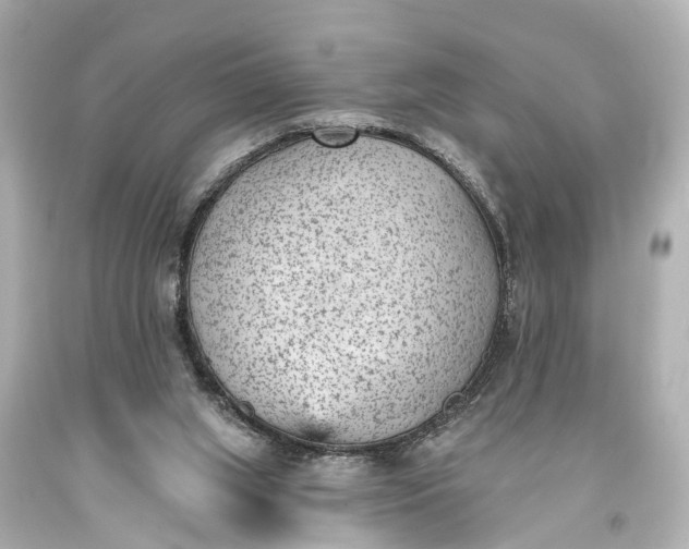 X0000094070063200711021519