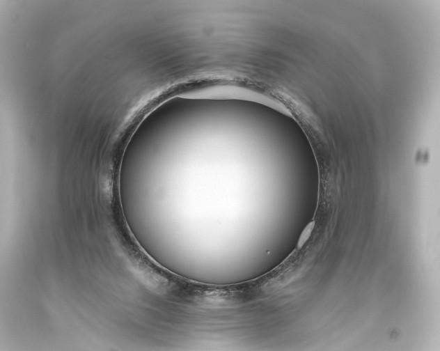 X0000094070064200711021519