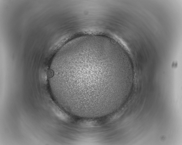 X0000094070065200711021519