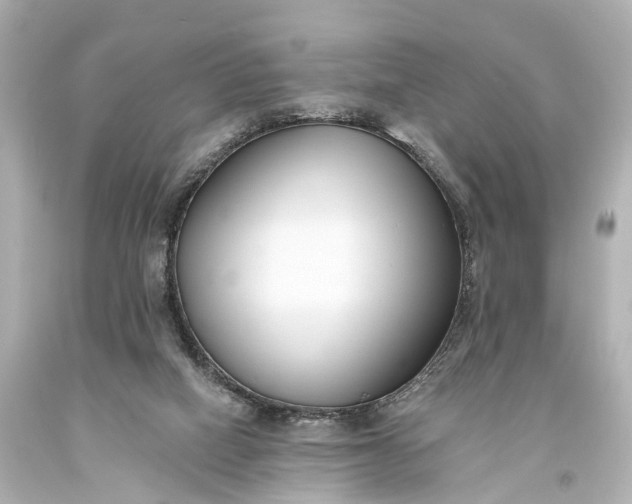 X0000094070066200711021519