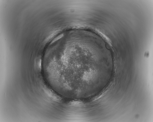 X0000094070067200711021519