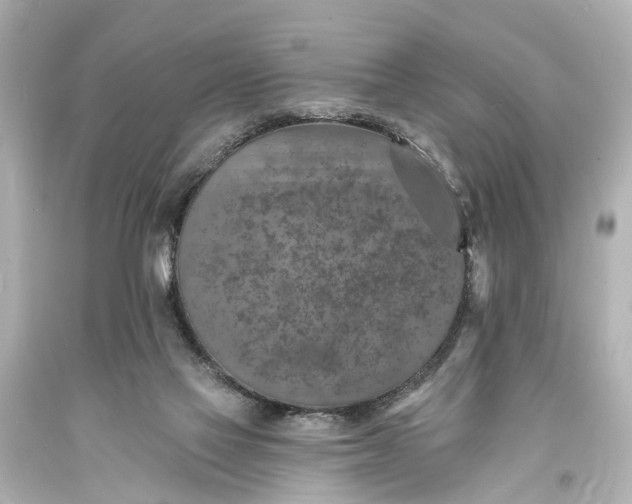 X0000094070069200711021519