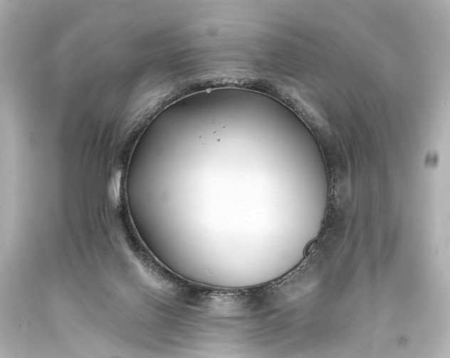 X0000094070070200711021519
