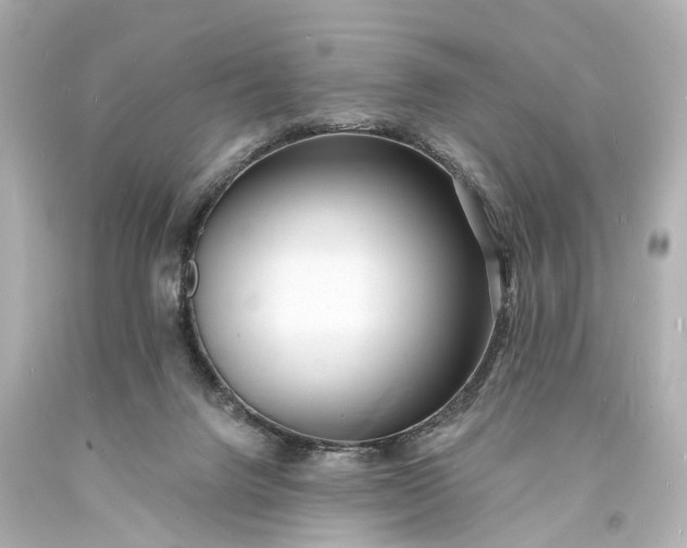 X0000094070072200711021519