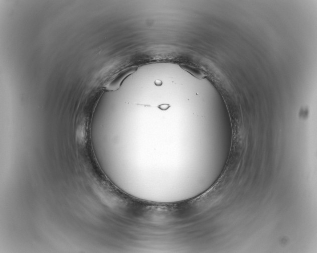 X0000094070074200711021519