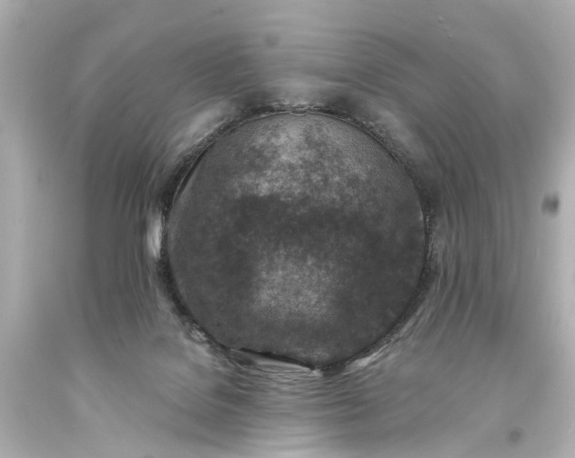 X0000094070076200711021519