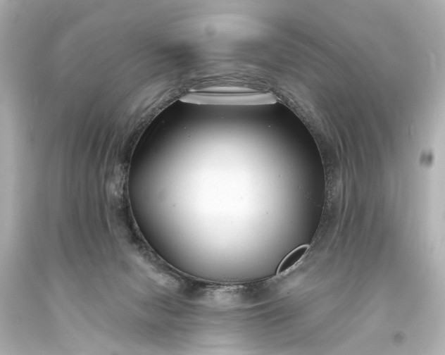 X0000094070078200711021519