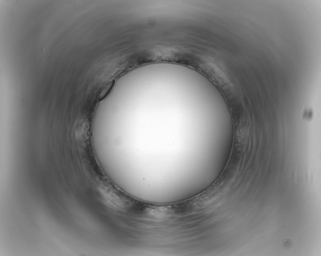 X0000094070079200711021519