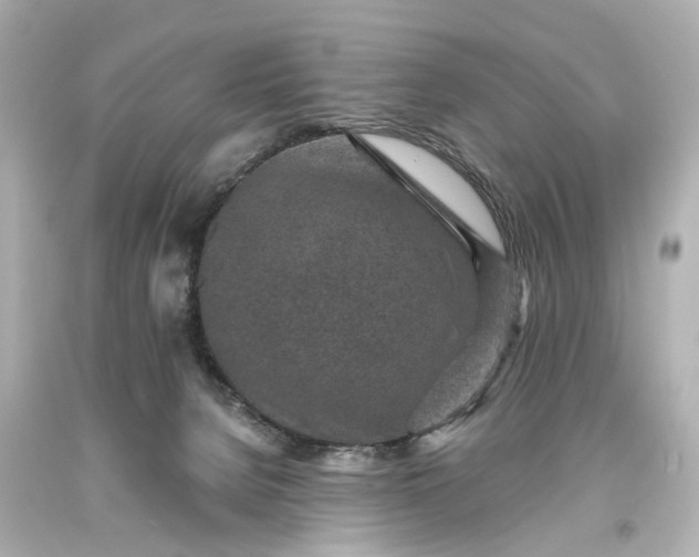 X0000094070080200711021519