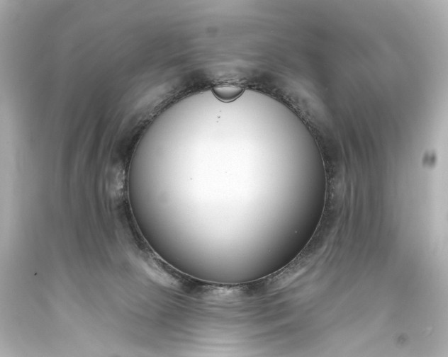 X0000094070081200711021519