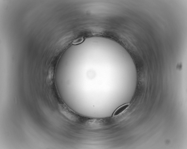 X0000094070082200711021520