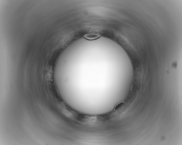 X0000094070083200711021520