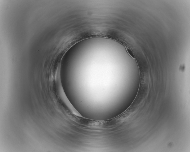 X0000094070084200711021520