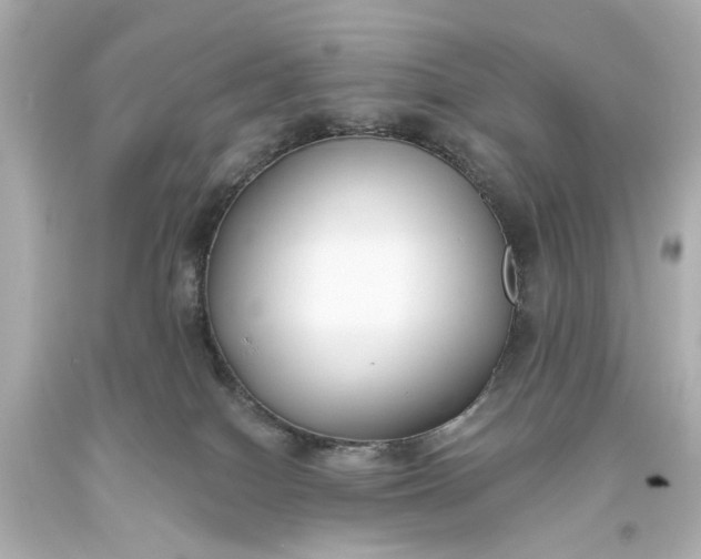X0000094070086200711021520