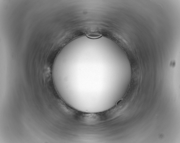 X0000094070087200711021520