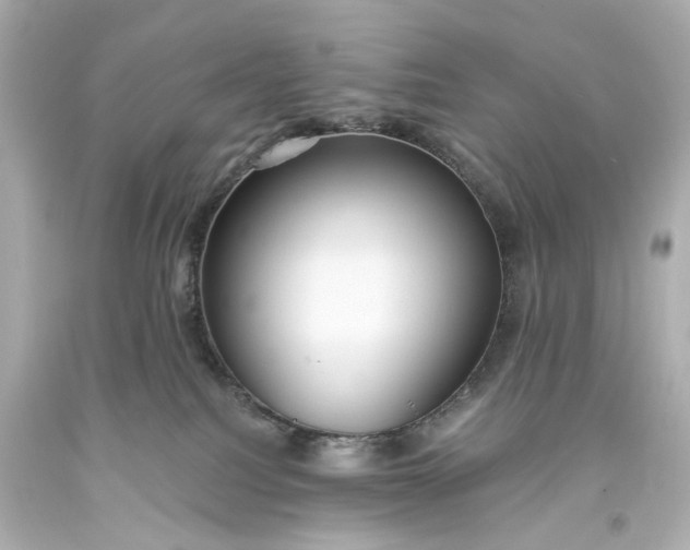 X0000094070088200711021520