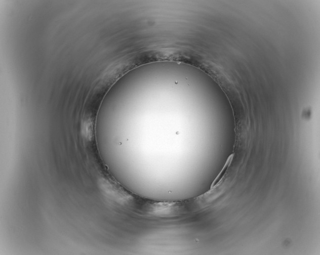 X0000094070090200711021520