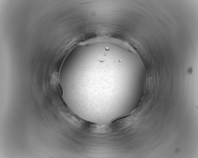 X0000094070093200711021520