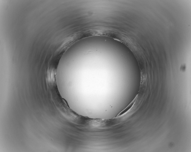 X0000094070094200711021520