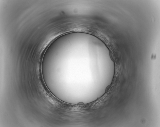X0000094070098200711021519
