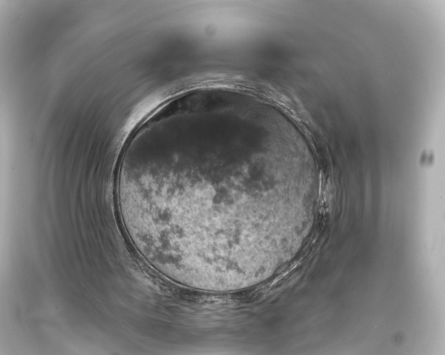 X0000094070099200711021519