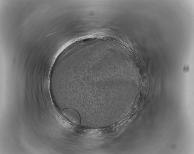 X0000094070100200711021519