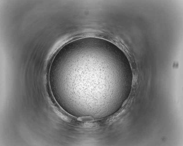 X0000094070101200711021519