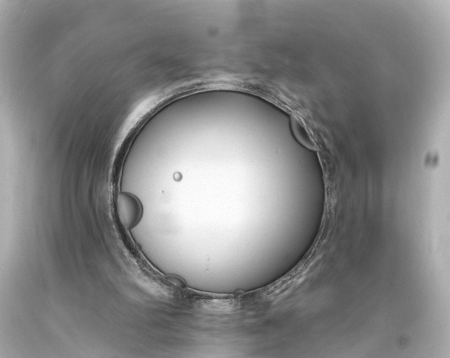 X0000094070102200711021519