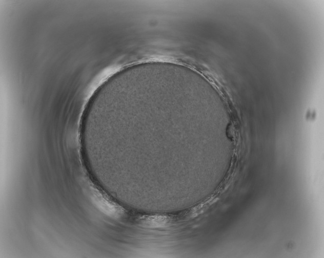 X0000094070104200711021519
