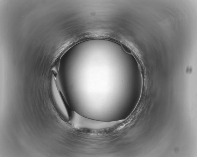 X0000094070105200711021519