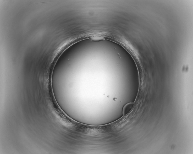 X0000094070107200711021519