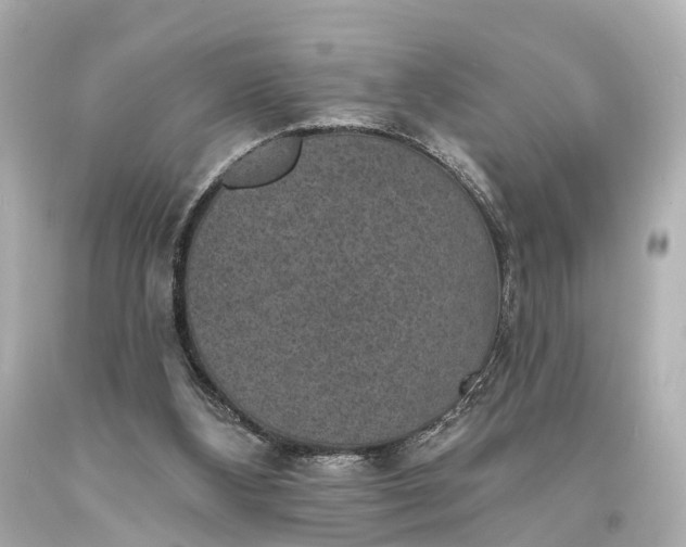 X0000094070108200711021519